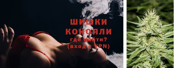 Альфа ПВП Каменка