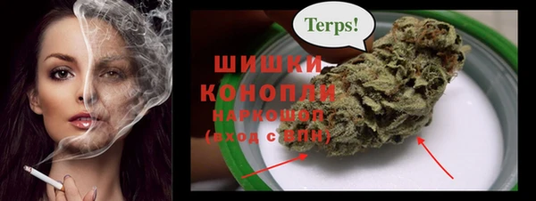 дживик Инта