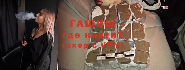 дживик Инта