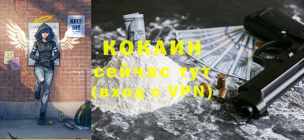 Альфа ПВП Каменка