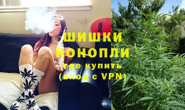 дживик Инта