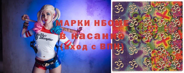 дживик Инта