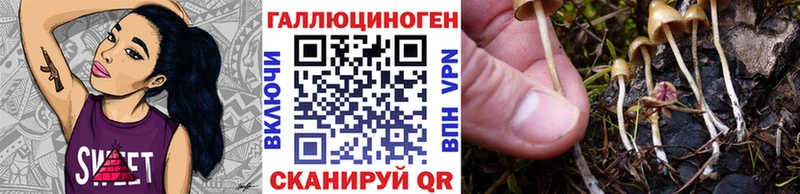 где можно купить   KRAKEN маркетплейс  Галлюциногенные грибы мухоморы  Кирсанов 