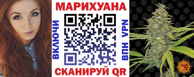 Каннабис сатива  Кирсанов 
